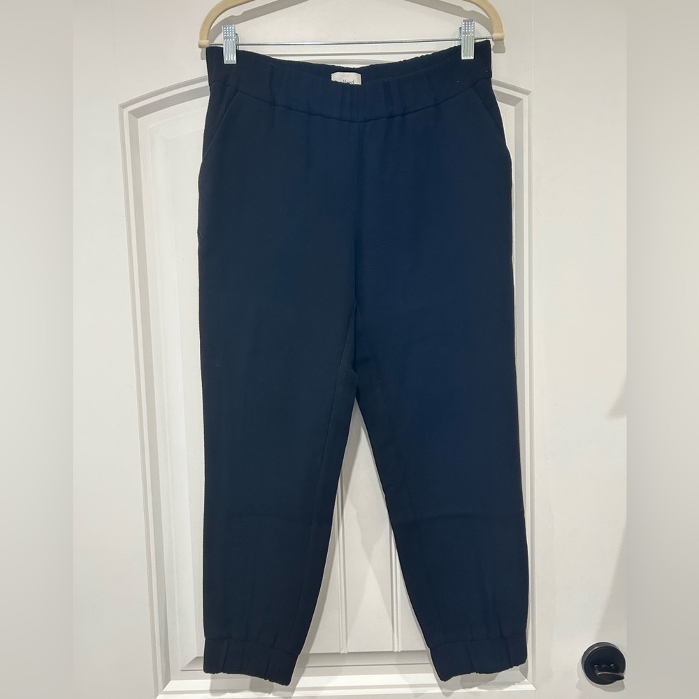 Aritzia Black Jogger Pants